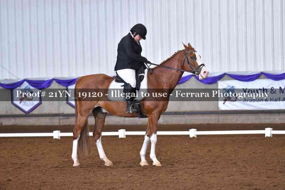 Proof 21YN_19120