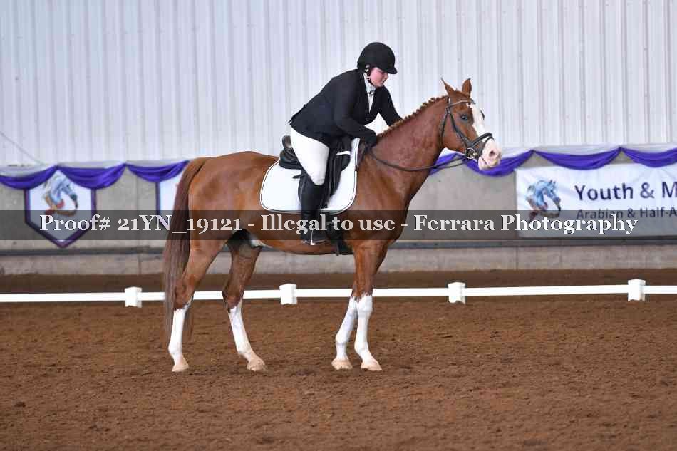 Proof 21YN_19121