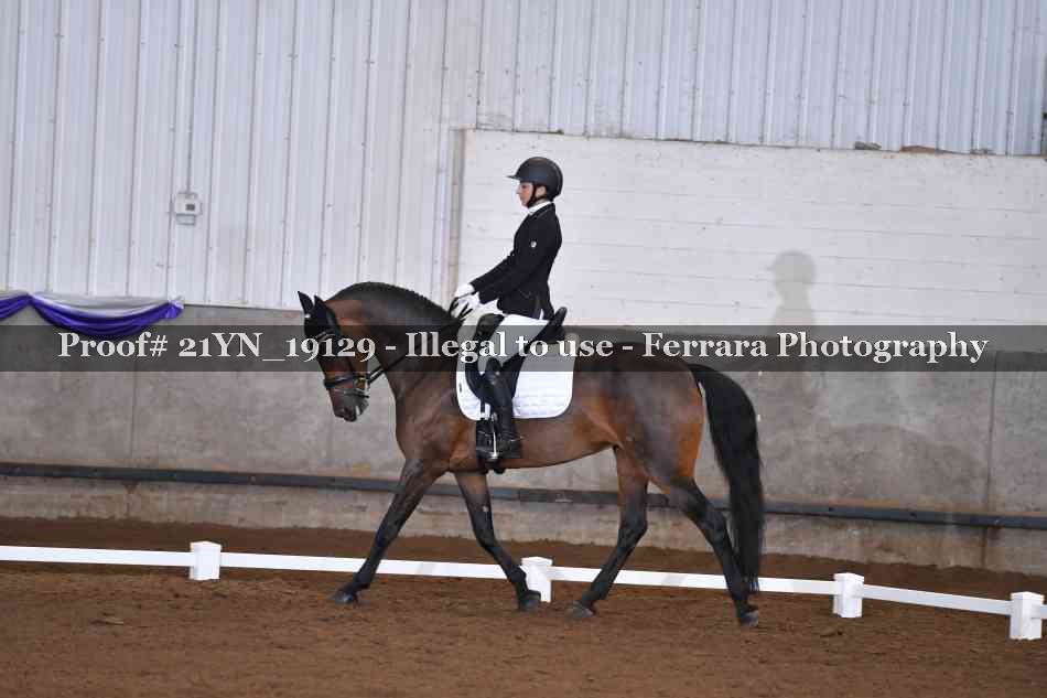 Proof 21YN_19129