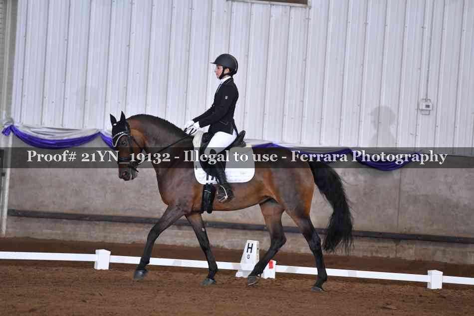 Proof 21YN_19132