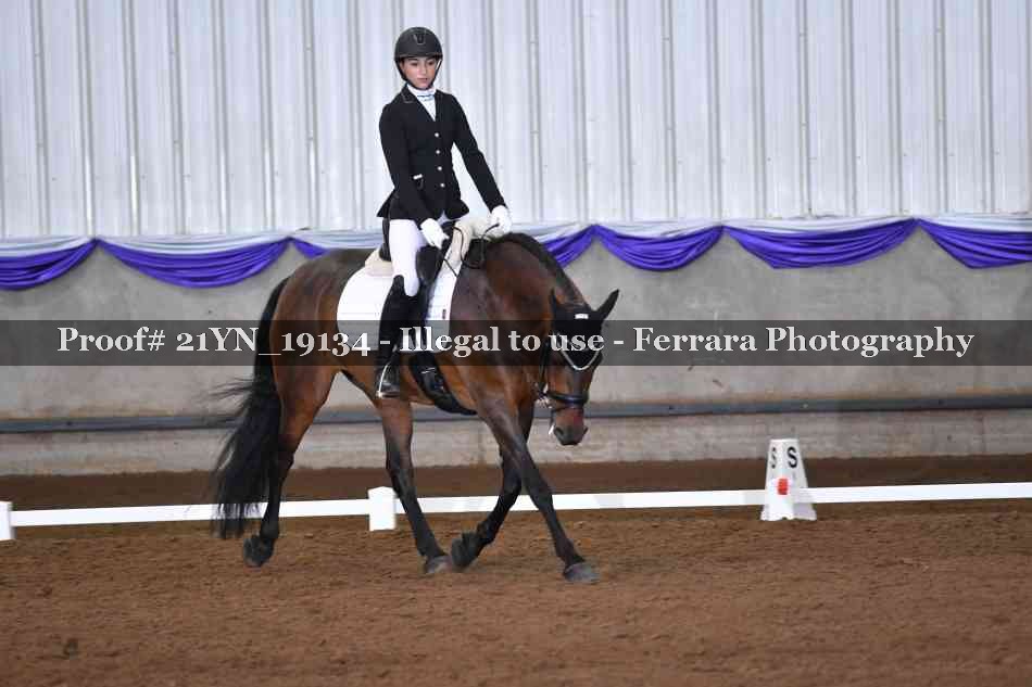 Proof 21YN_19134