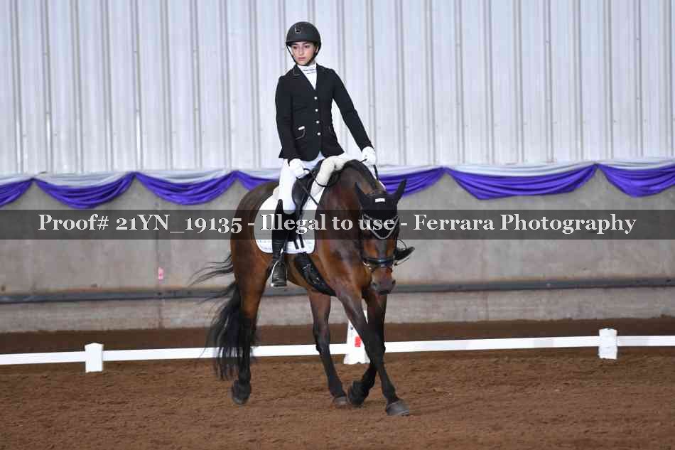 Proof 21YN_19135