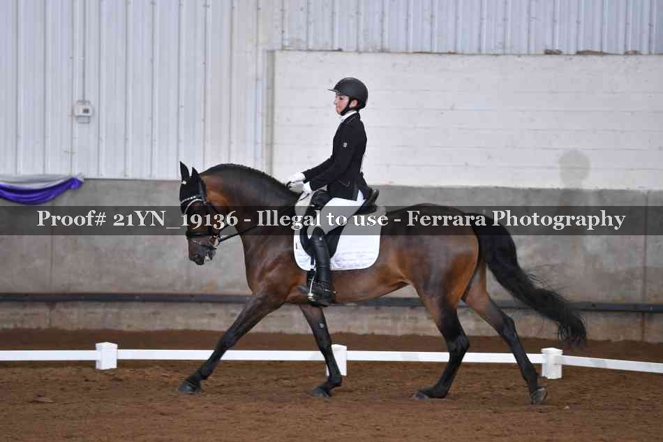 Proof 21YN_19136