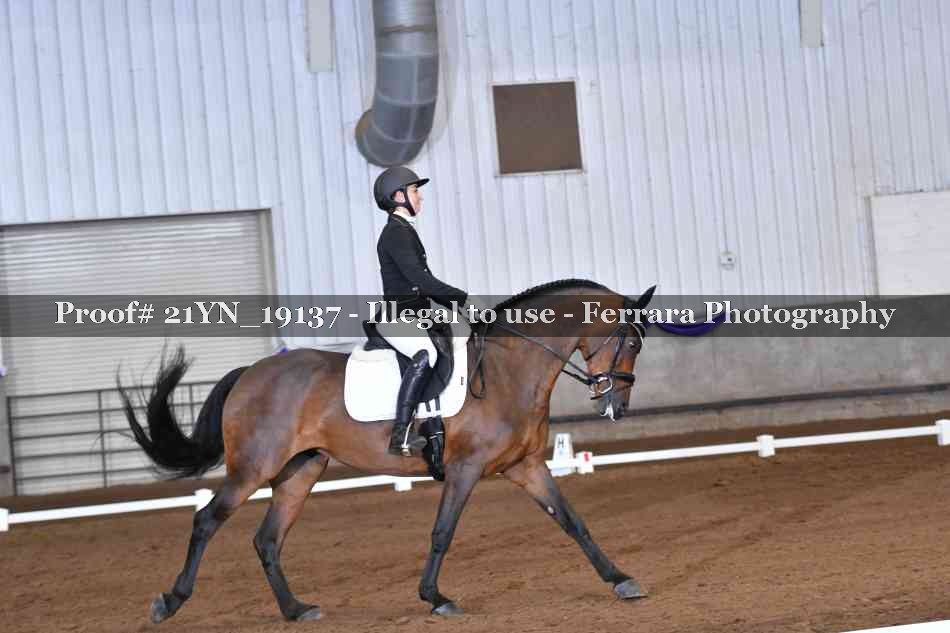 Proof 21YN_19137