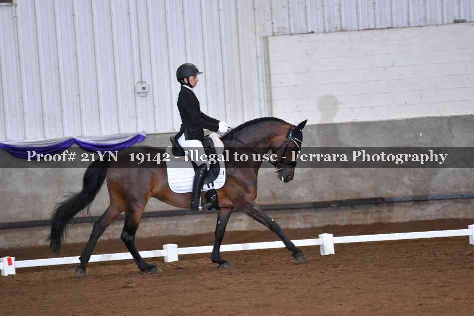 Proof 21YN_19142