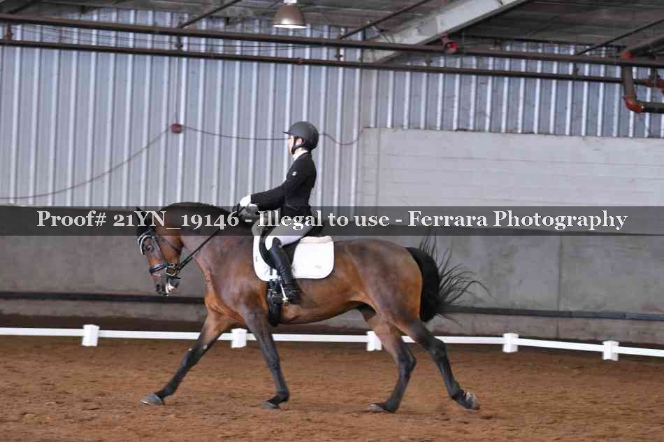 Proof 21YN_19146