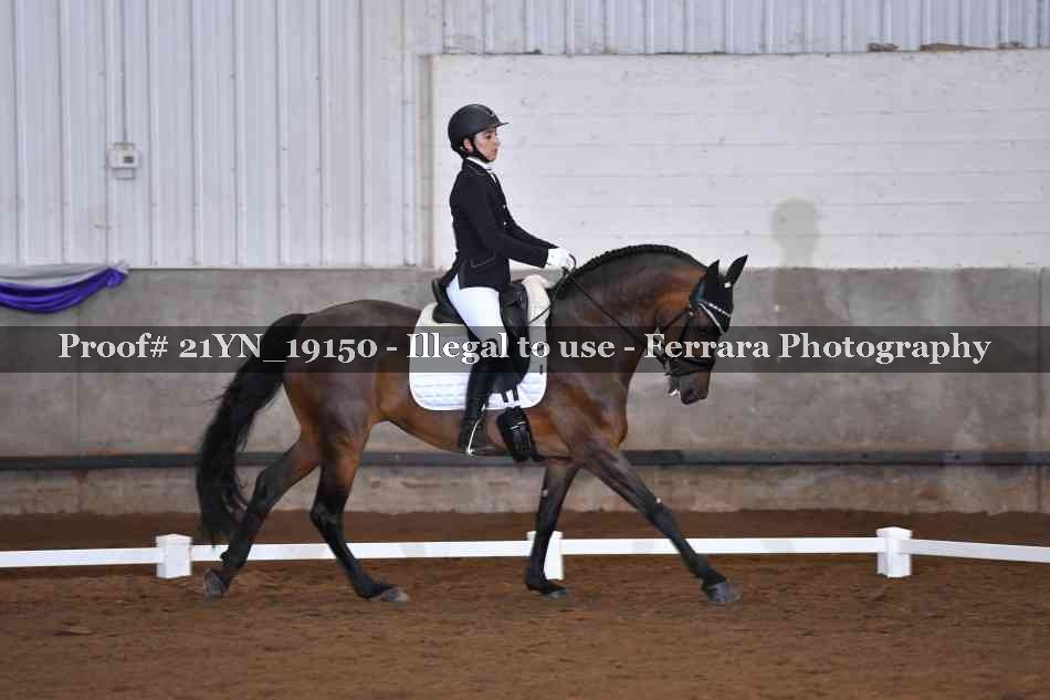 Proof 21YN_19150