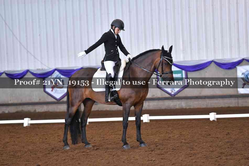 Proof 21YN_19153