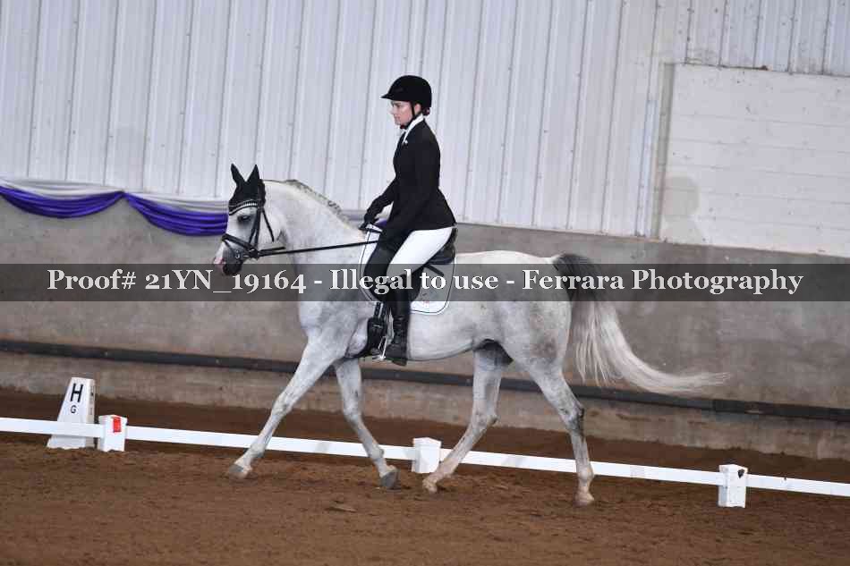 Proof 21YN_19164