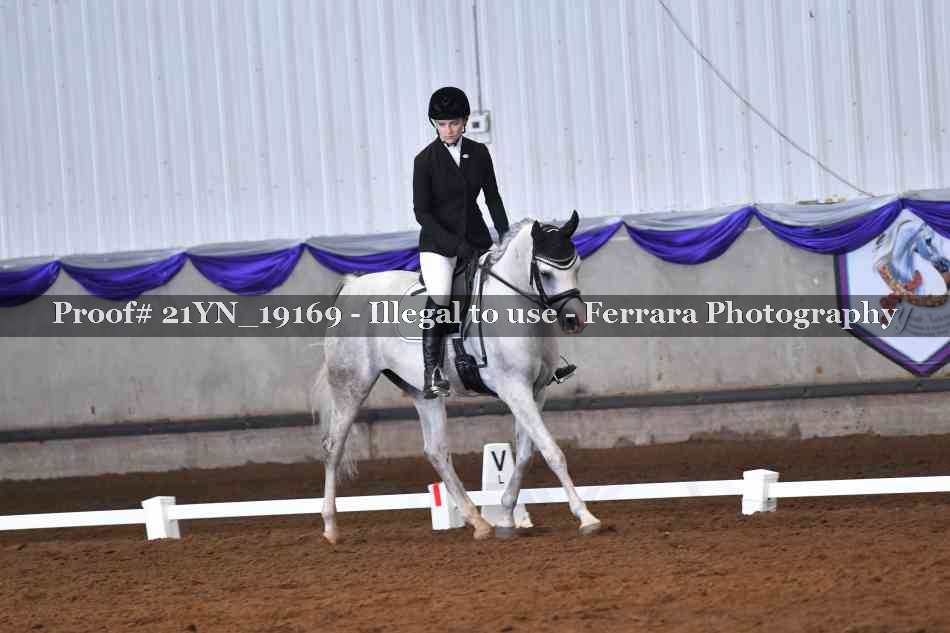 Proof 21YN_19169