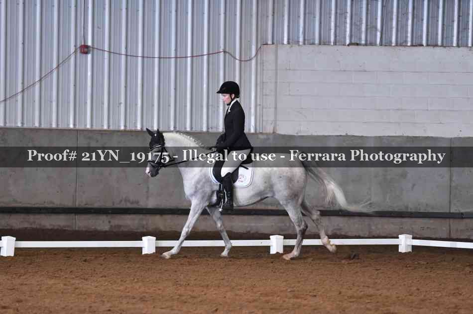 Proof 21YN_19175