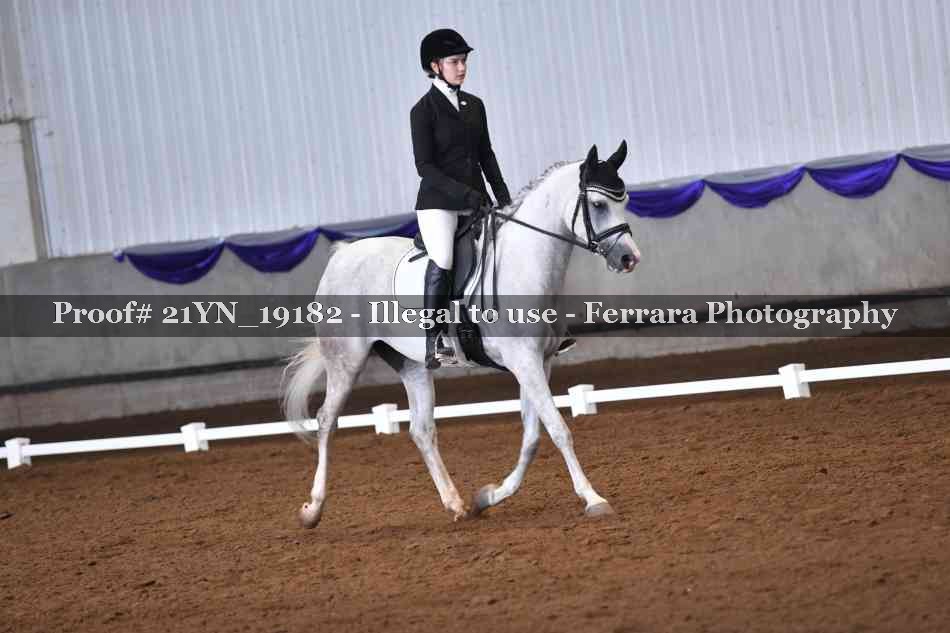 Proof 21YN_19182