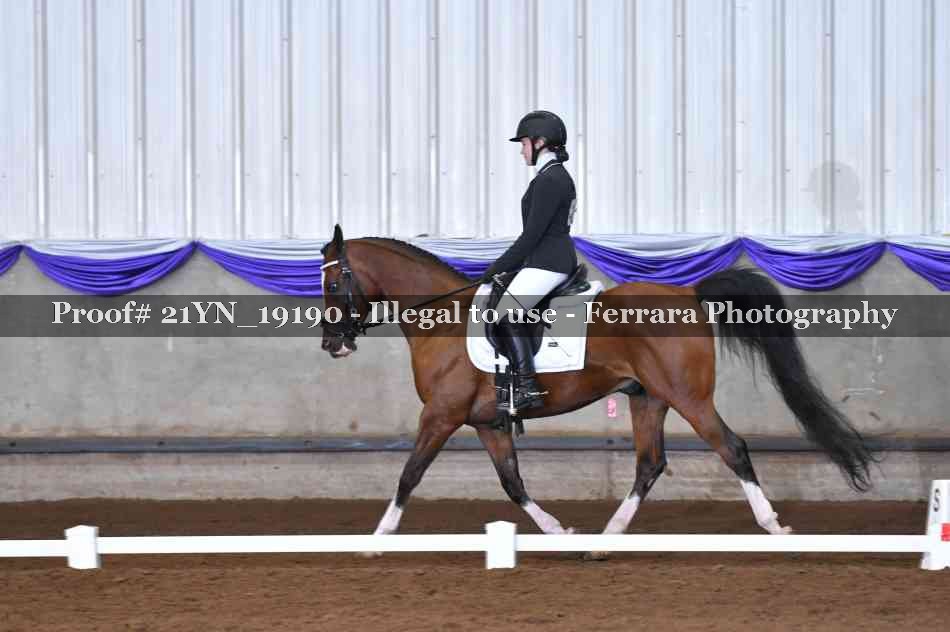 Proof 21YN_19190