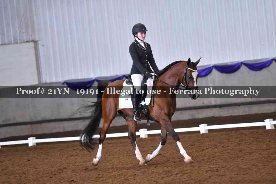 Proof 21YN_19191