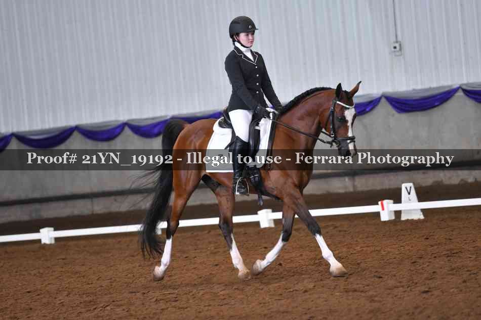 Proof 21YN_19192