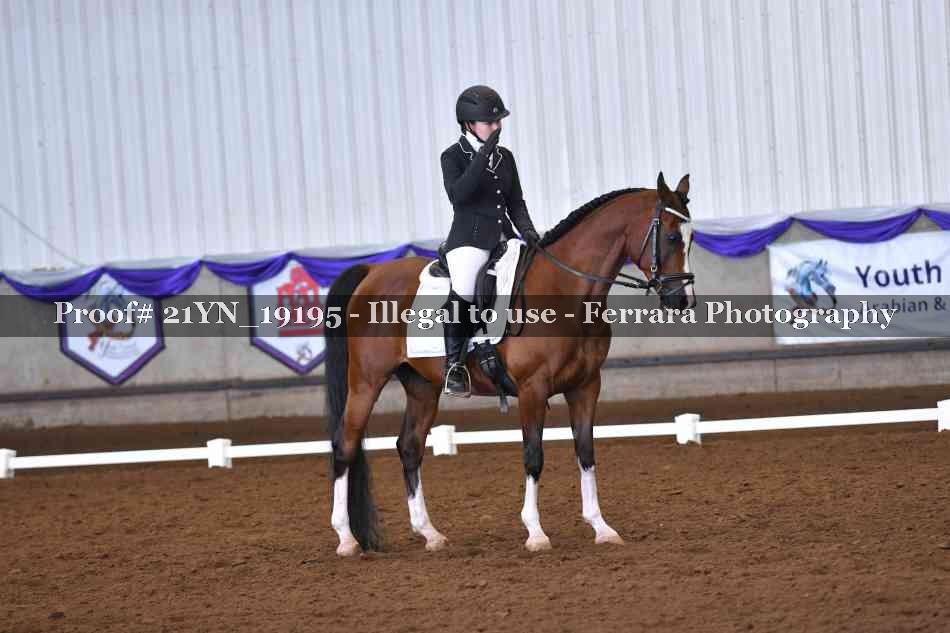 Proof 21YN_19195