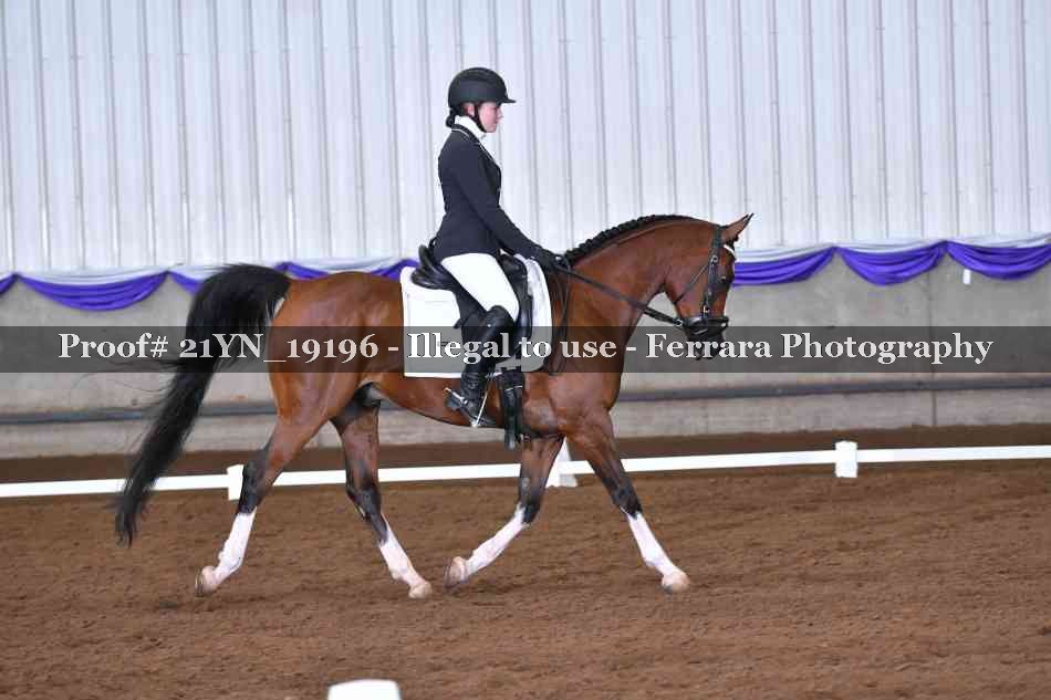 Proof 21YN_19196