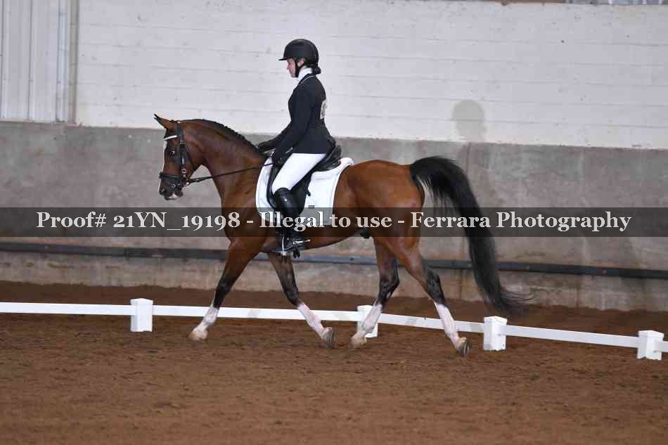 Proof 21YN_19198