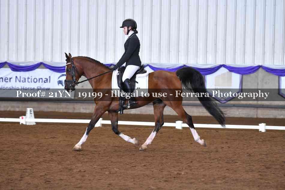 Proof 21YN_19199
