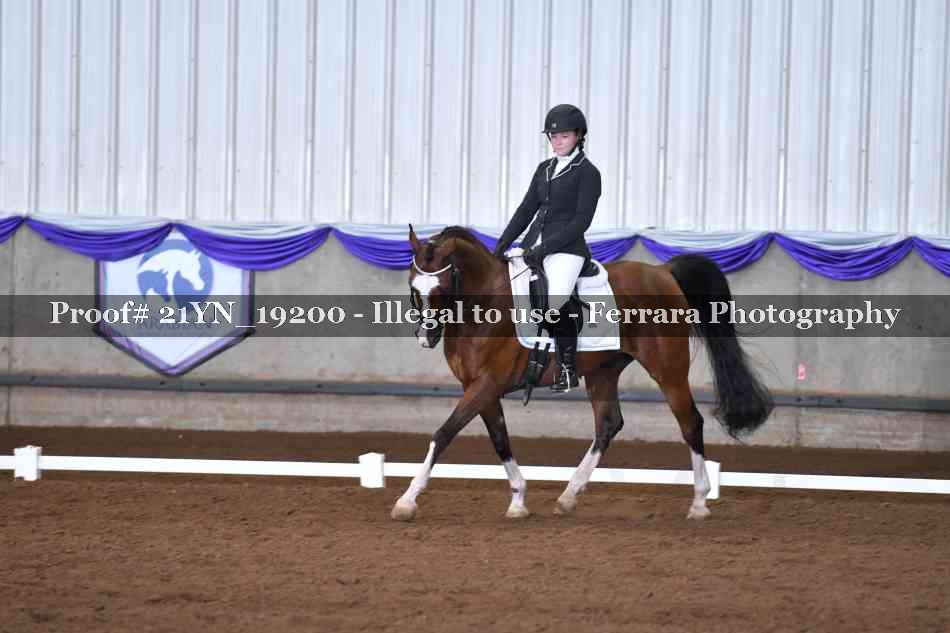 Proof 21YN_19200