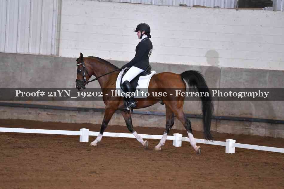 Proof 21YN_19202