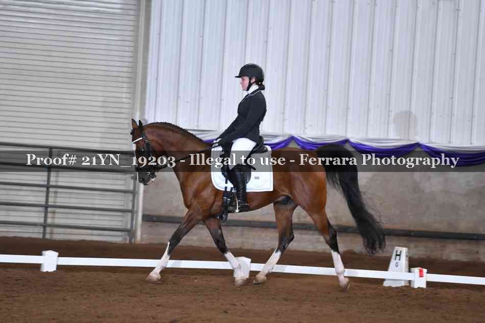 Proof 21YN_19203
