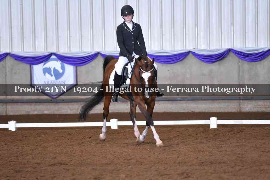 Proof 21YN_19204