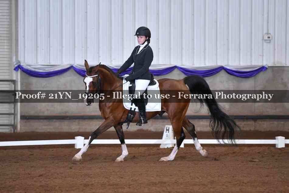 Proof 21YN_19205