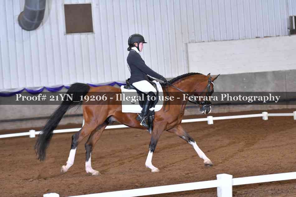 Proof 21YN_19206