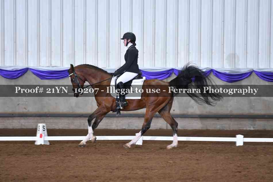 Proof 21YN_19207