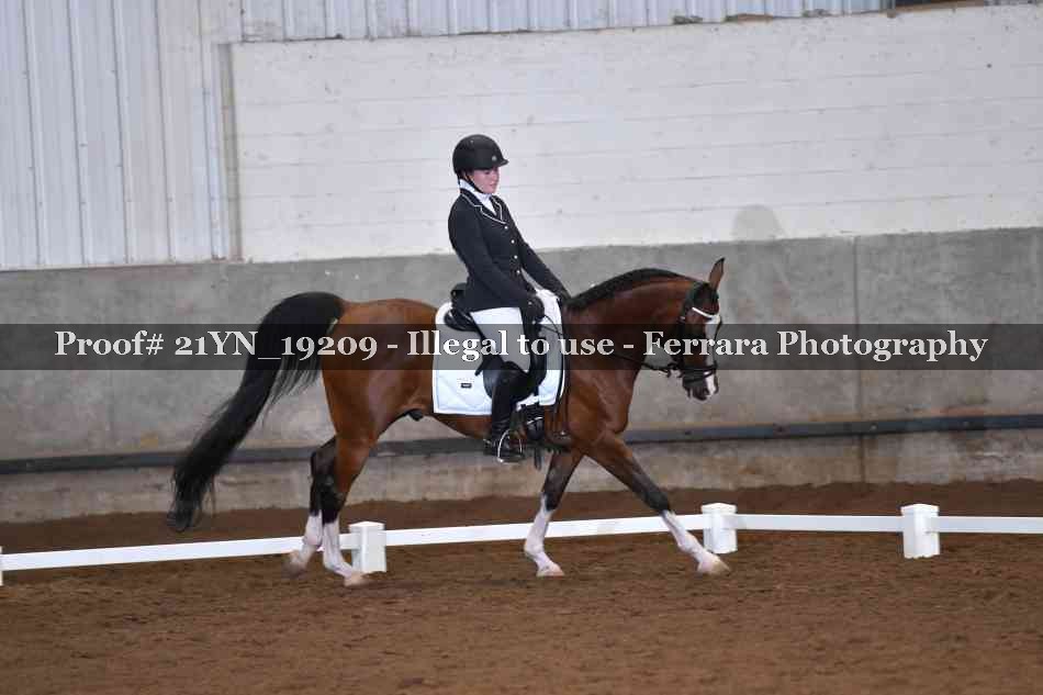 Proof 21YN_19209