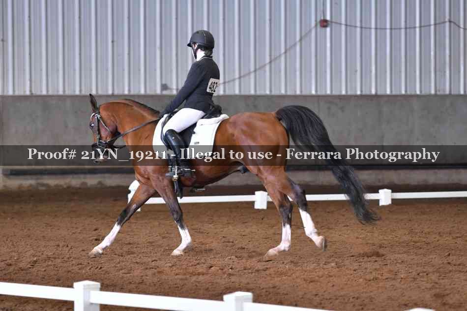 Proof 21YN_19211