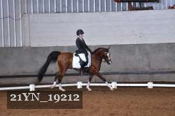 21YN_19212 proof