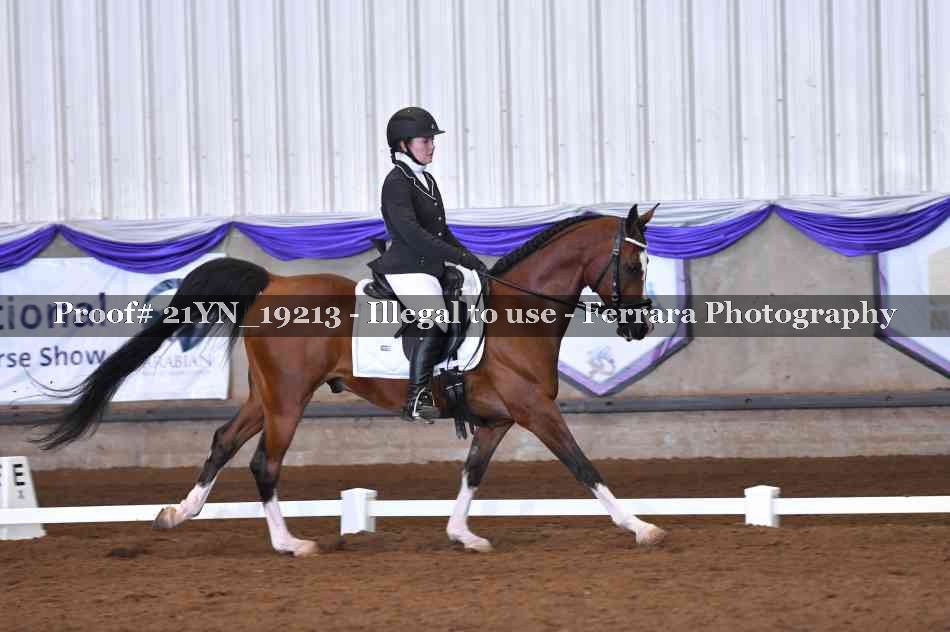 Proof 21YN_19213