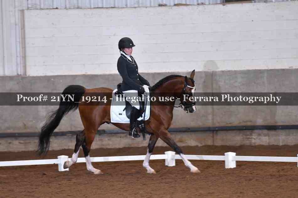 Proof 21YN_19214