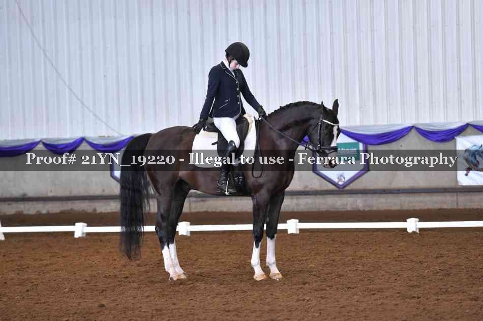 Proof 21YN_19220