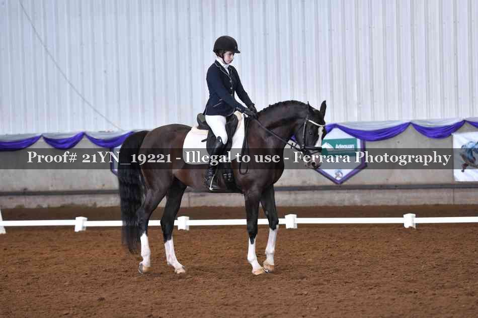 Proof 21YN_19221