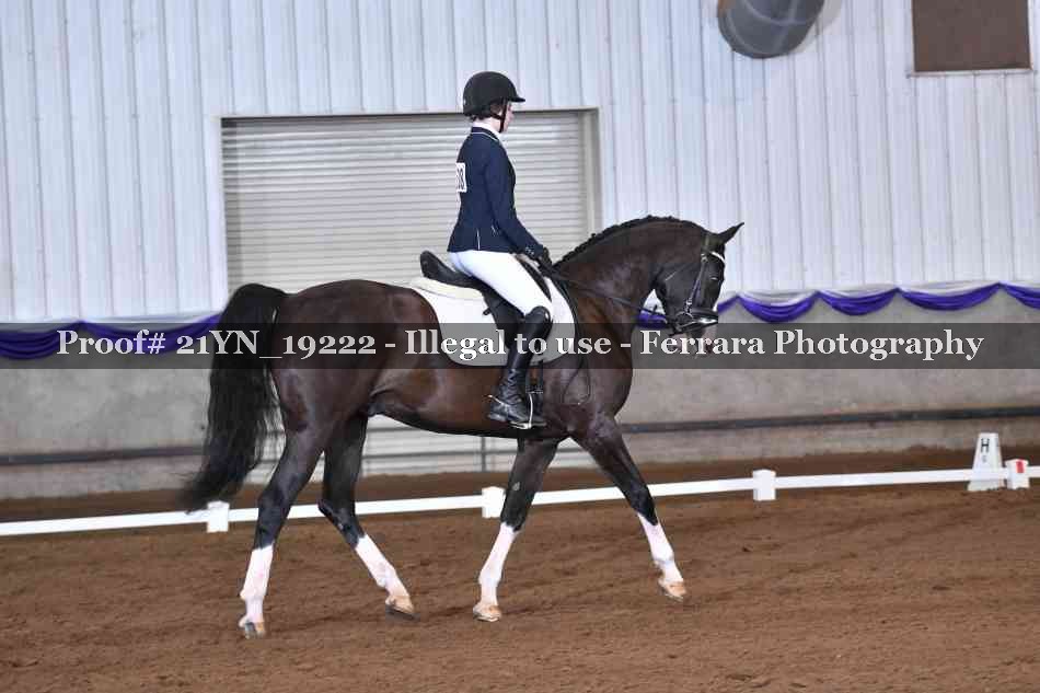 Proof 21YN_19222