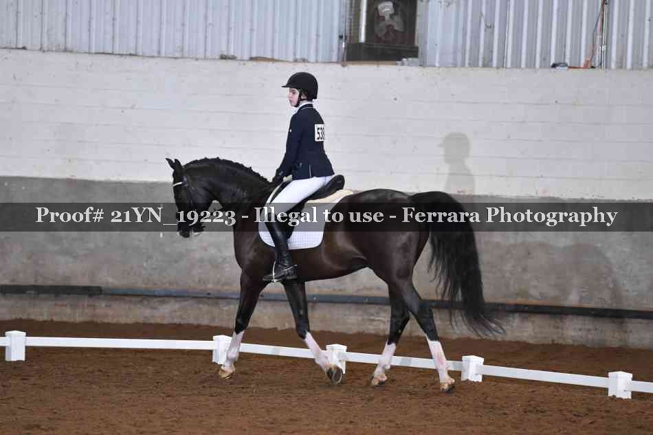 Proof 21YN_19223