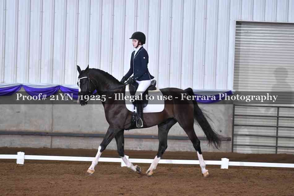 Proof 21YN_19225