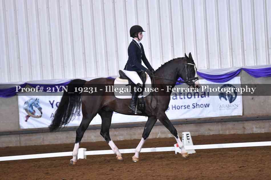 Proof 21YN_19231