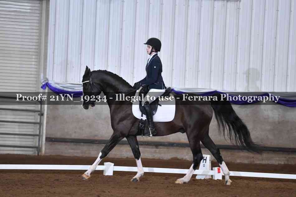 Proof 21YN_19234