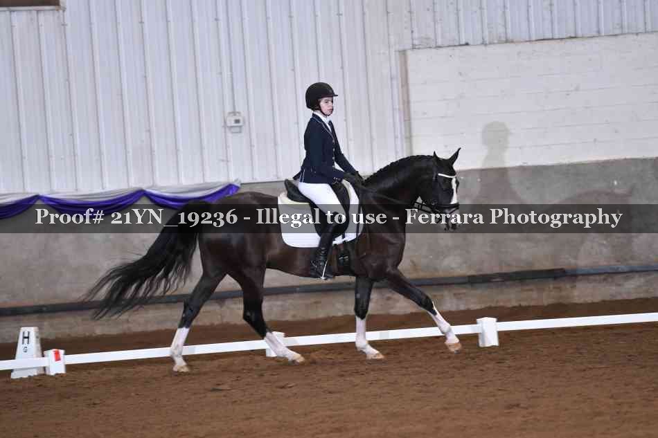 Proof 21YN_19236