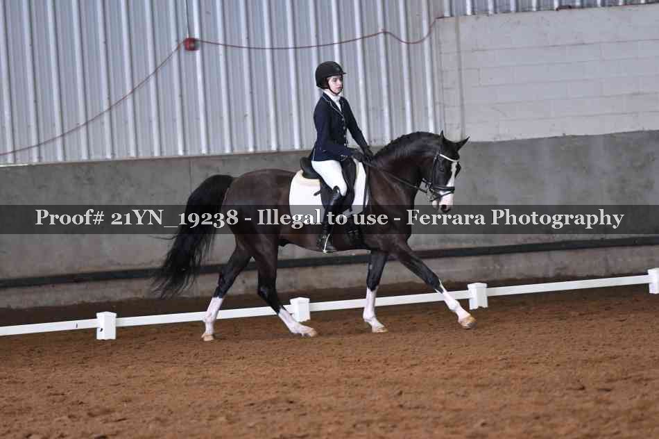 Proof 21YN_19238