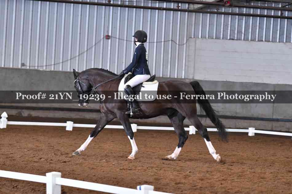 Proof 21YN_19239