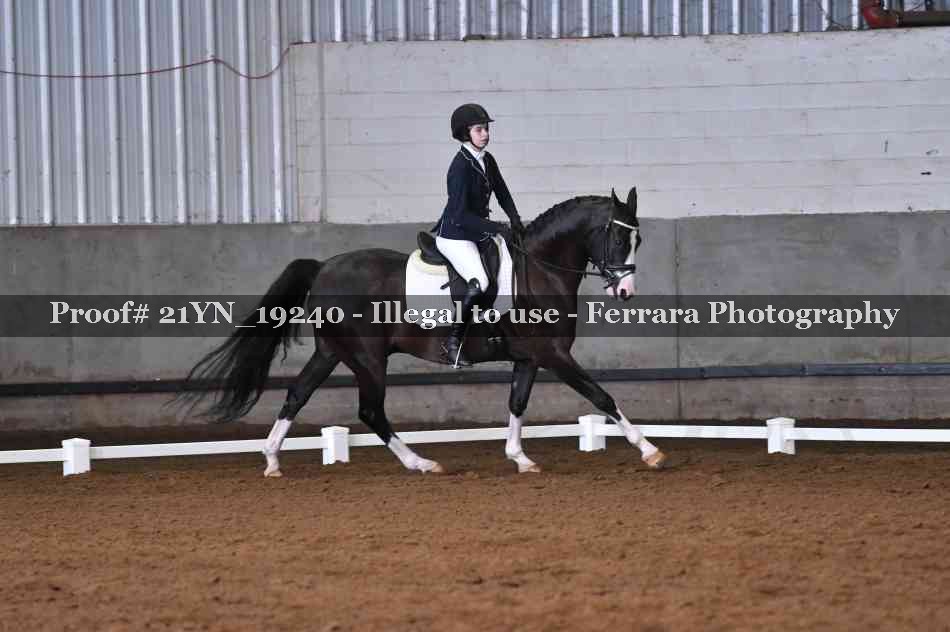 Proof 21YN_19240