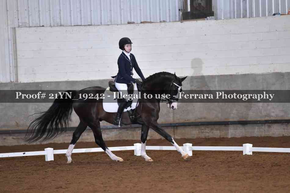 Proof 21YN_19242