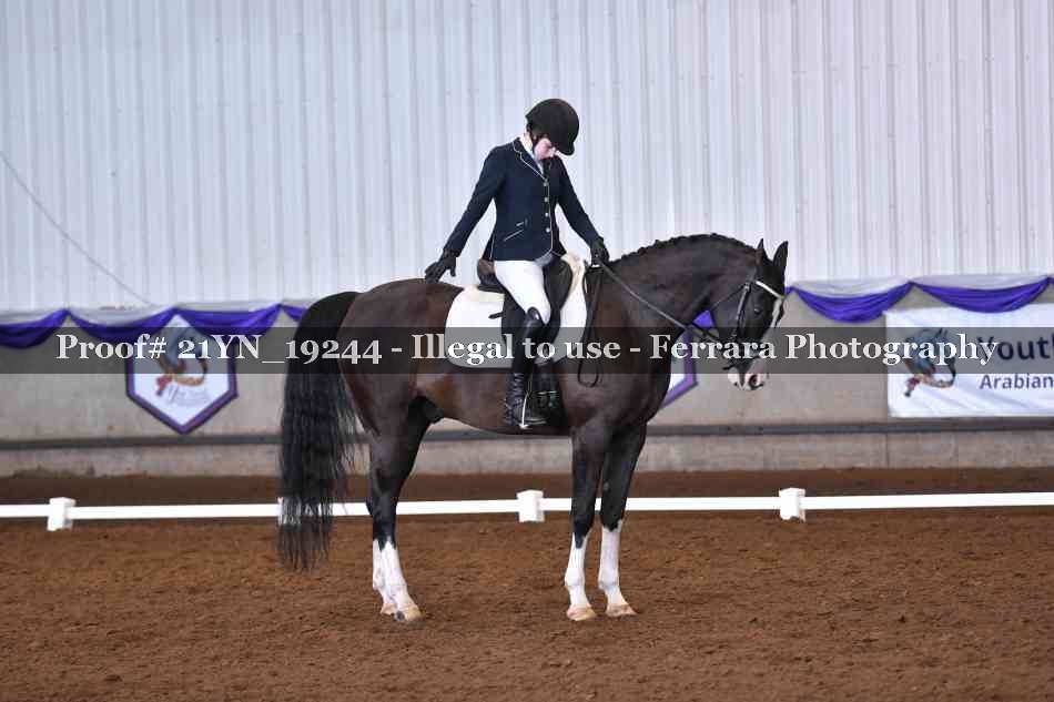 Proof 21YN_19244