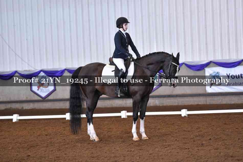 Proof 21YN_19245