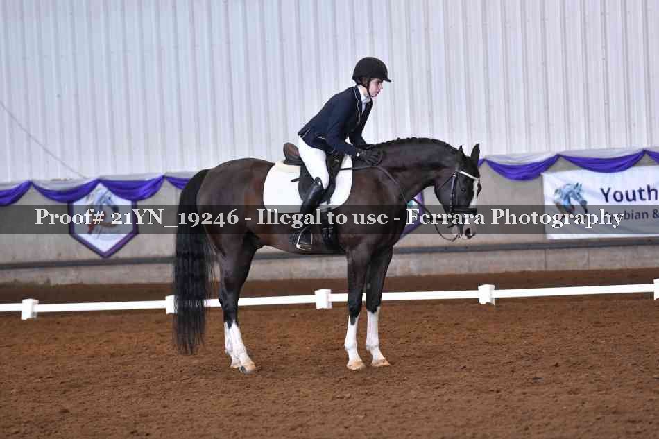 Proof 21YN_19246
